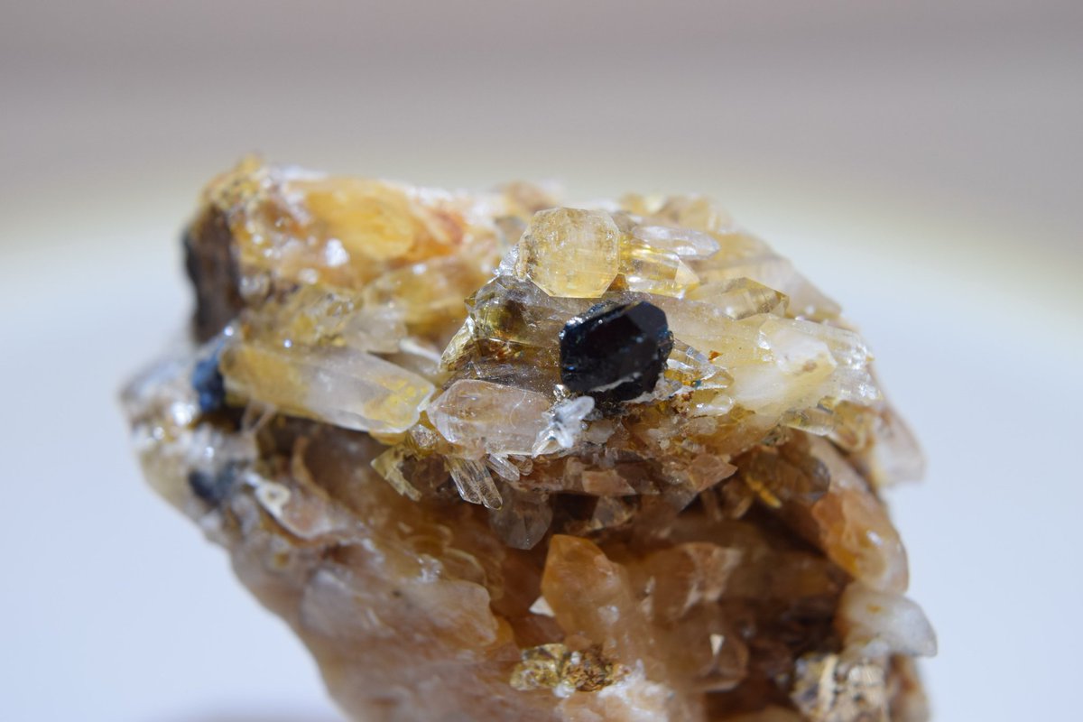 NineBall1123's tweet photo. 天藍石
Lazurite
Rapid Creek,
Yukon Territory,Canada
#石ふしぎ大発見展 
#石ふしぎ大発見展2021 
#鉱物 https://t.co/usHk0i98yC