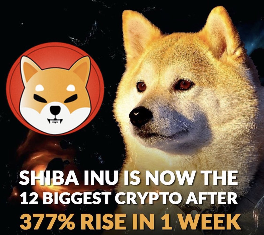 Shibainupowerc2's tweet photo. #ShibaArmy https://t.co/cg4mJxNdsF