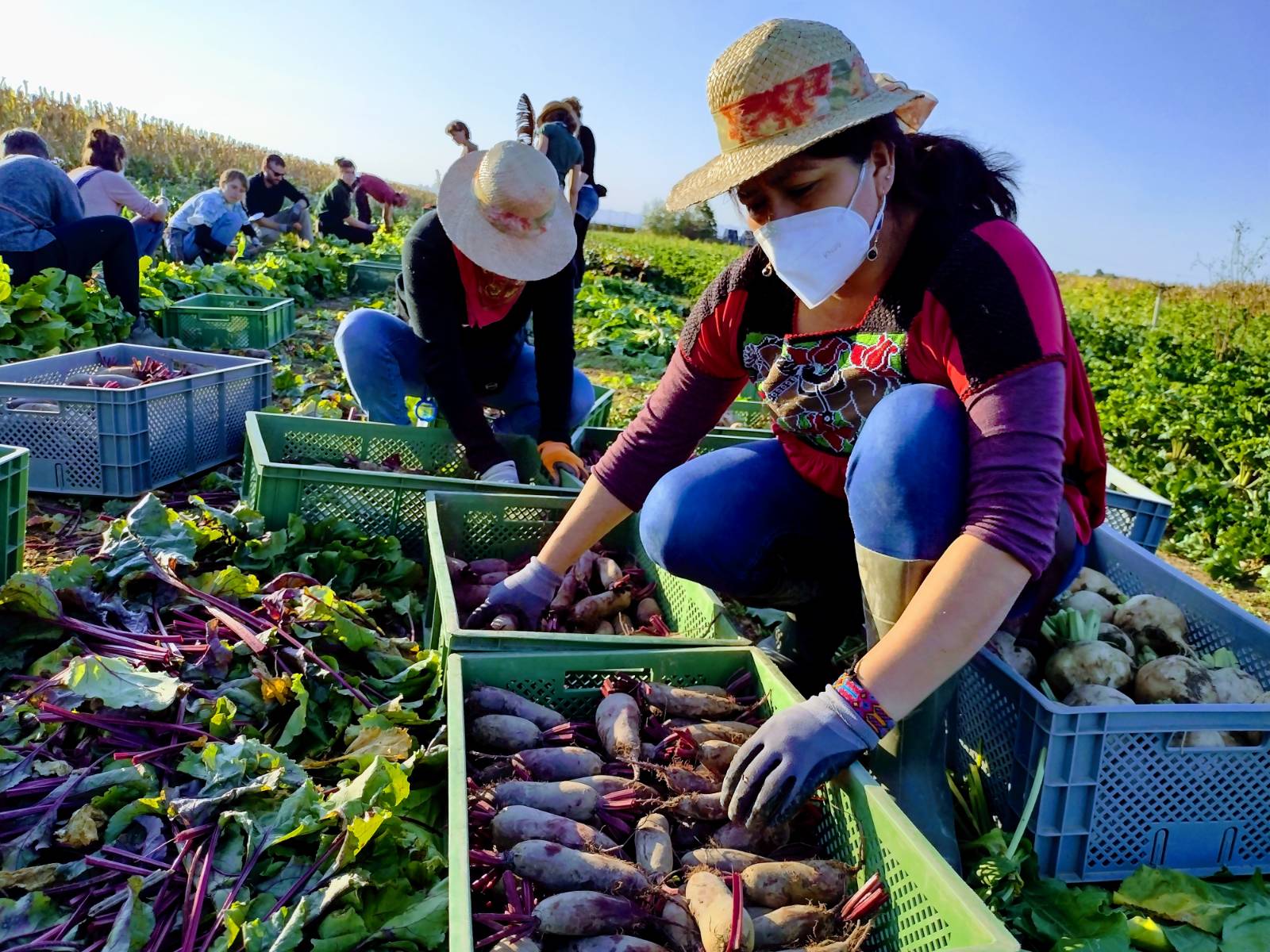 CNI México on Twitter "Actividades de la delegación del CNICIG y