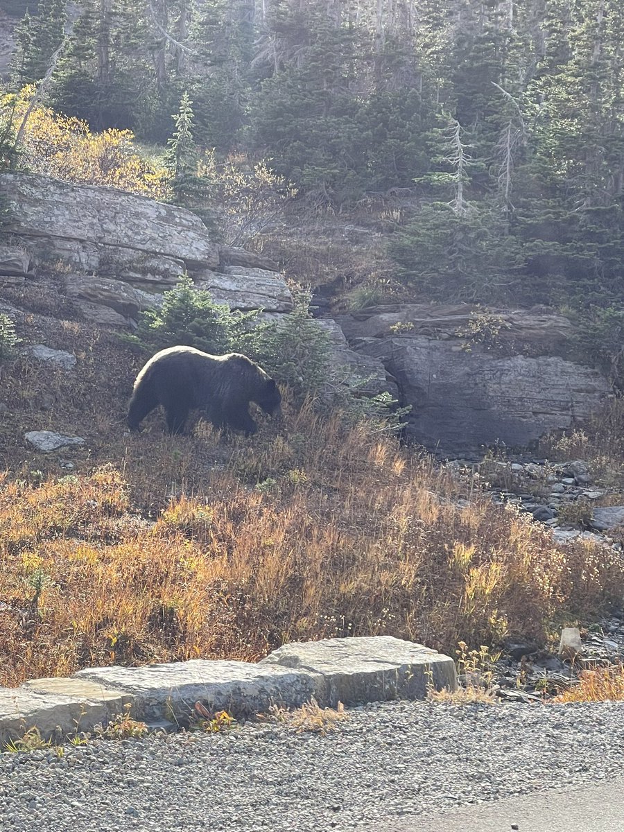 LP_21's tweet photo. The beauty of Montana #montana #travelRT https://t.co/J2MV3KgjHa