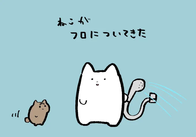 シャワーのお湯が飲みたくてお行儀よく待ってた猫が可愛かった日記です 