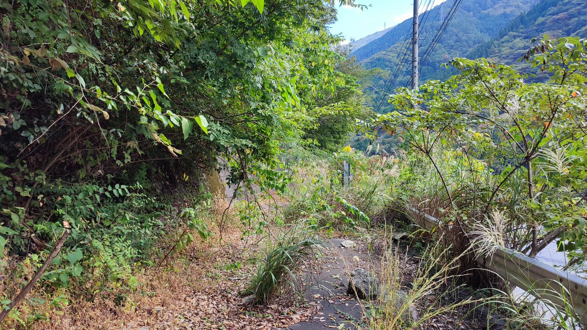 kumacon's tweet photo. 帰り道
還り道…
#R418 https://t.co/4EZj0NTnNS