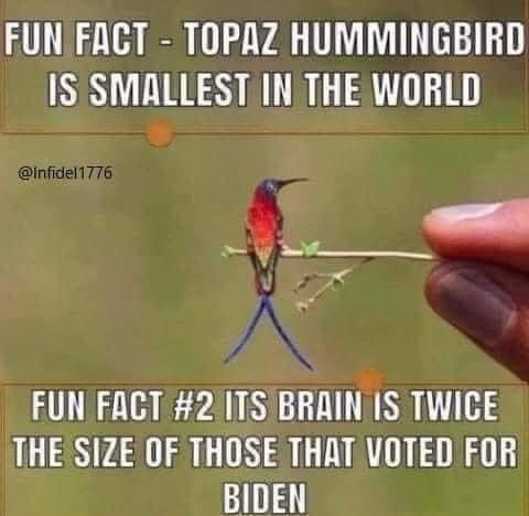 B_gilmo's tweet photo. https://t.co/w4MyKIs1Mw