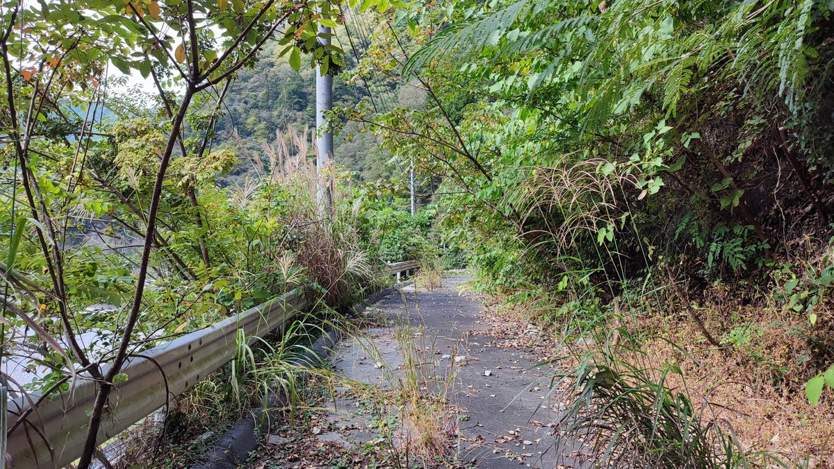 kumacon's tweet photo. 帰り道
還り道…
#R418 https://t.co/4EZj0NTnNS