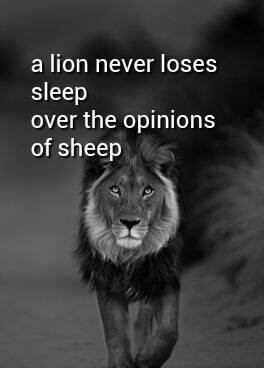 nedusam's tweet photo. https://t.co/dCJqG7GsRI