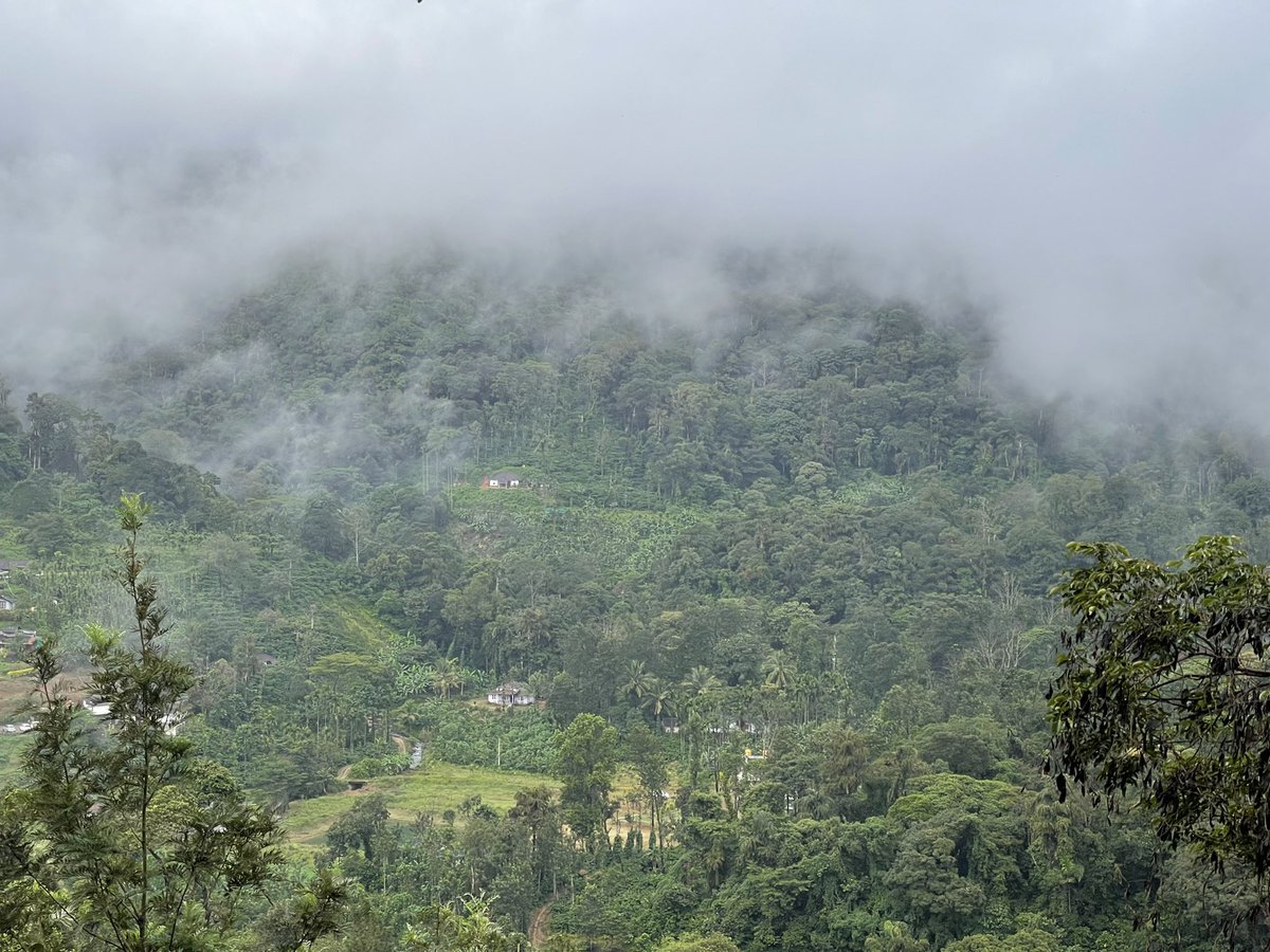 poovayya's tweet photo. When the Clouds raise from the ground! A misty Sunday morning in Coorg. https://t.co/g15UkSSKLJ