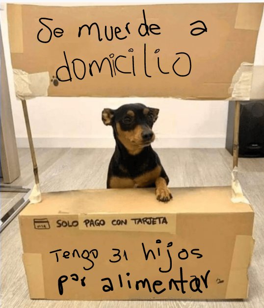 BerriondoManolo's tweet photo. Apoyemos el emprendimiento de Firulais.. https://t.co/ChUkkcI8AP