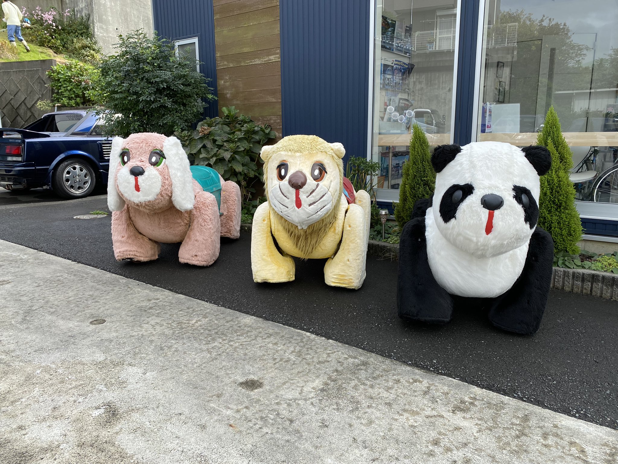 メロディペット Twitter Search Twitter