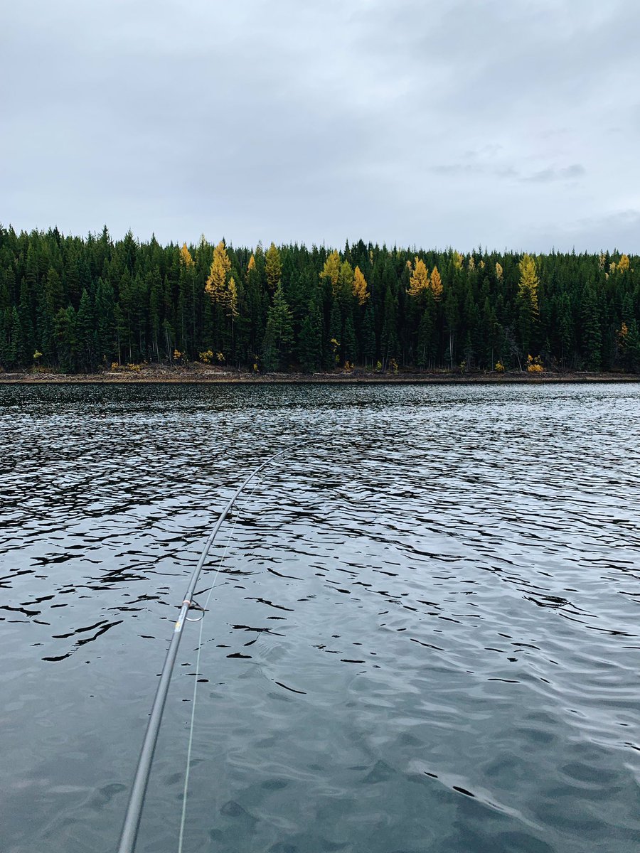 ChloeLochansky's tweet photo. Started the day off with snow and ended with sunny skies 🌞 awesome day fishing at Beaver Lake! @Erik_Gardiner12 https://t.co/g6M6L4WSnw