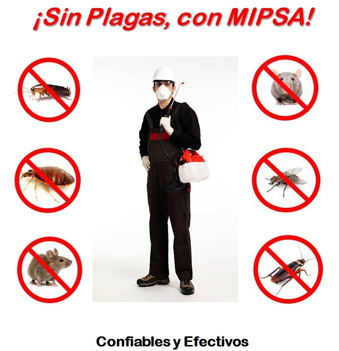 TereJosy's tweet photo. @jgnaredo @AccionNacional @CFEmx El #PRIANRD son esos #parasitos #plagas y demás #desechos que no se acaban por mas que les digan y les expliquen la #verdadDelPueblo Llegue a la conclusión de que #odianMéxico se creen de #1erMundo y no #mexicanos por eso regalan Nuestro #Pais Vivan los #mexicanos #RealesMestizos https://t.co/nsAoOrkNLE