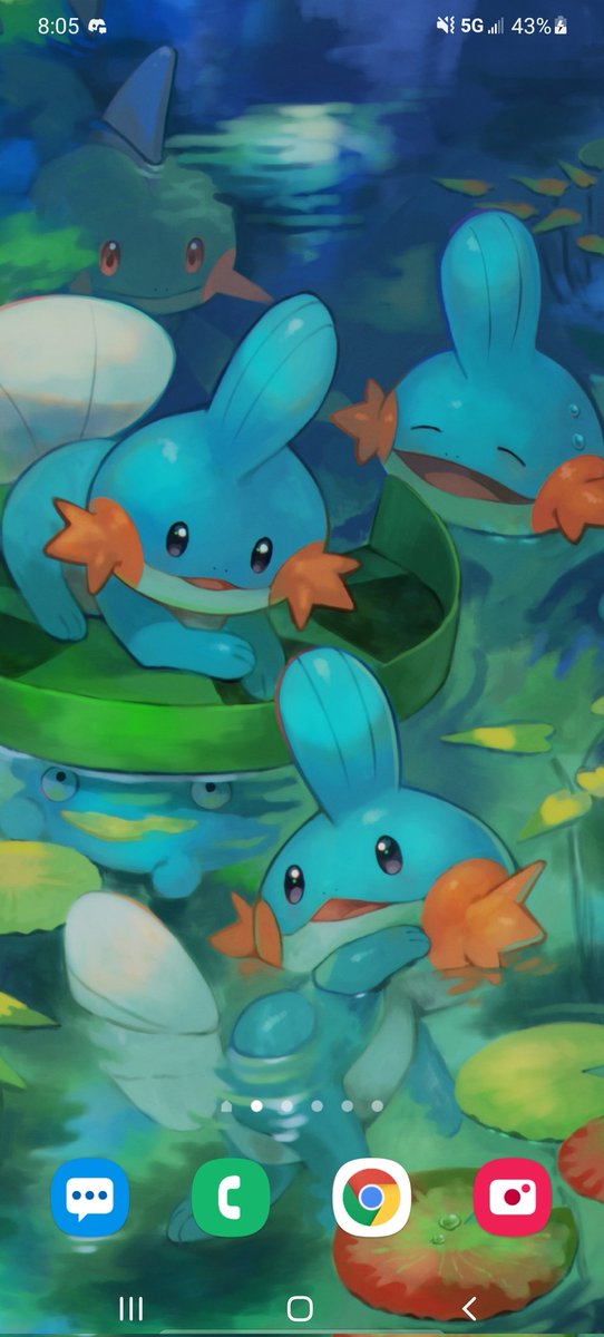 FriendlessW's tweet photo. @Grimoire_Cafe @AnimeRTweeters Mudkip lol https://t.co/NXLsOoB1wR