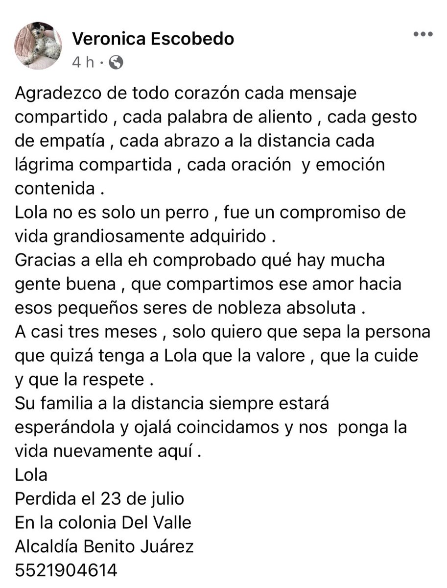 Veronica Escobedo tweet media