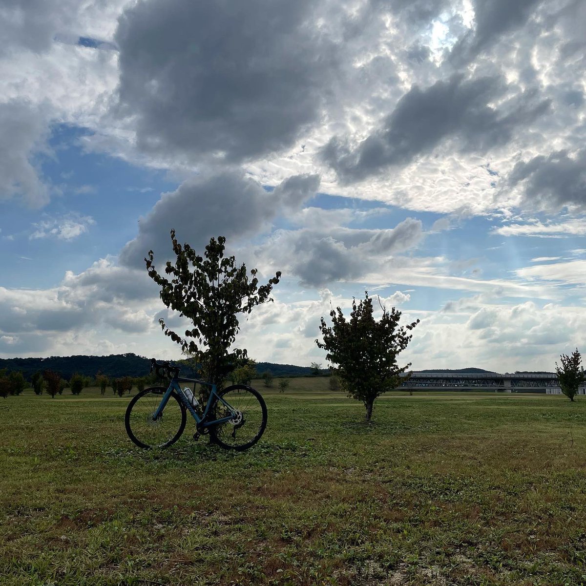 admonth's tweet photo. It can't be better than a bike ride. The weather is good to be true. Thanks to the Australian government's ban on coal exports to China, Korea's sky is in its best condition all year round.  China's use of fossil fuels has turned the sky in Korea into a dust-filled gray color. https://t.co/JQxq0SoSgx