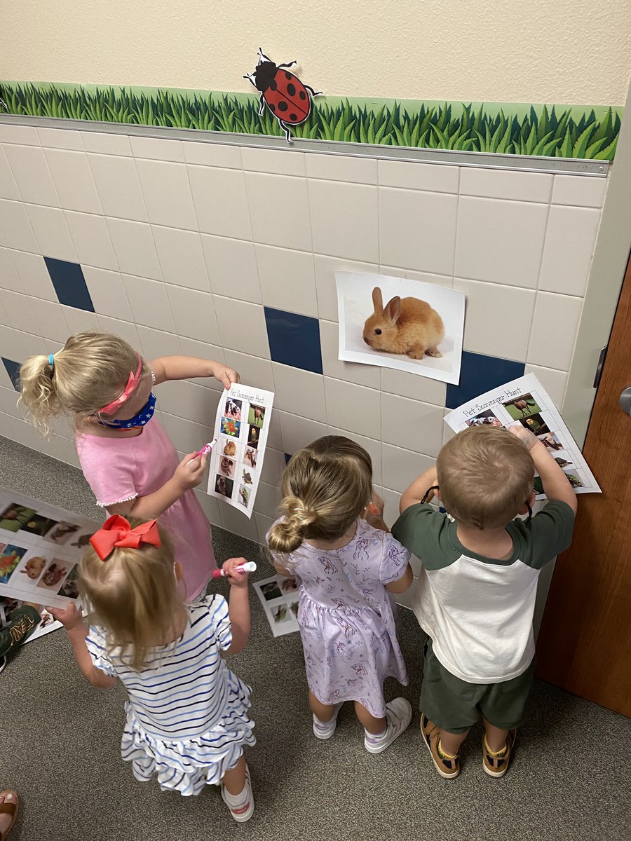 Ashley Tomlin tweet media