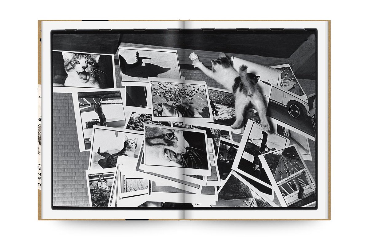 深瀬昌久　fukase masahisa サスケ写真　募金プロジェクトのめに制作 深瀬昌久『サスケ』、『MASAHISA FUKASE』はこちらから。 写真の