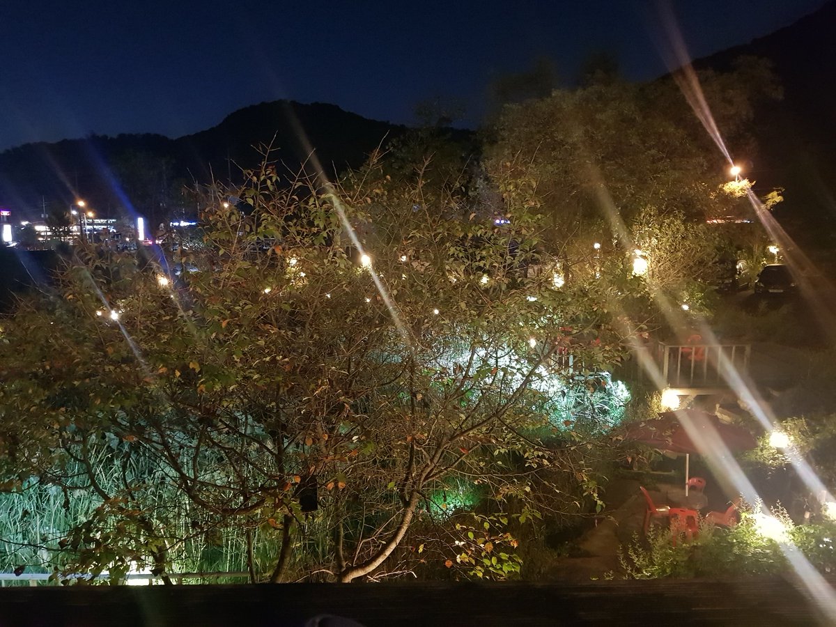 dryadcircle's tweet photo. 광명에 숫불구이집 다녀왔습니다! https://t.co/jLMsbukHRQ