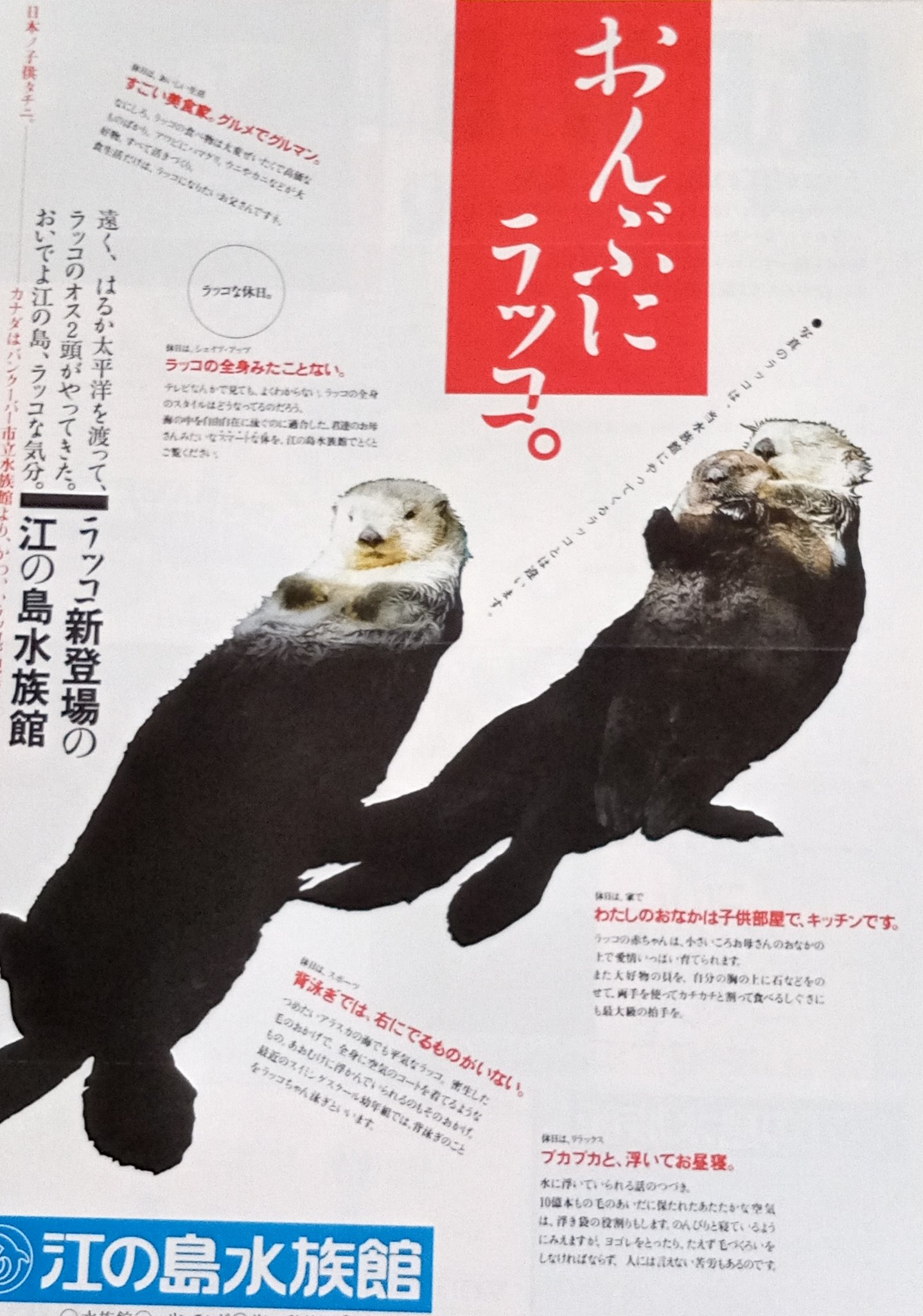 Kazz Twitter वर 江の島水族館 江ノ島水族館 ラッコ T Co Kmmvssoggs Twitter