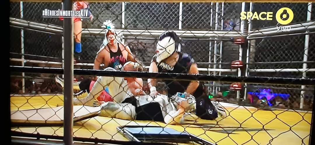 LaTijeraLucha's tweet photo. La lucha estelar de #HeroesInmortalesXIV es para #LaEmpresa, #DMTAzul, @PumaKingOficial y @RealSamAdonis acompañados por @lamasbonitacmll, luego de una intensa y sangrienta #LuchaEnJaula se imponen ante los #PsychoCircus, @Psychooriginal y @MurderClown1 quienes se ... https://t.co/4ap3fSumUI