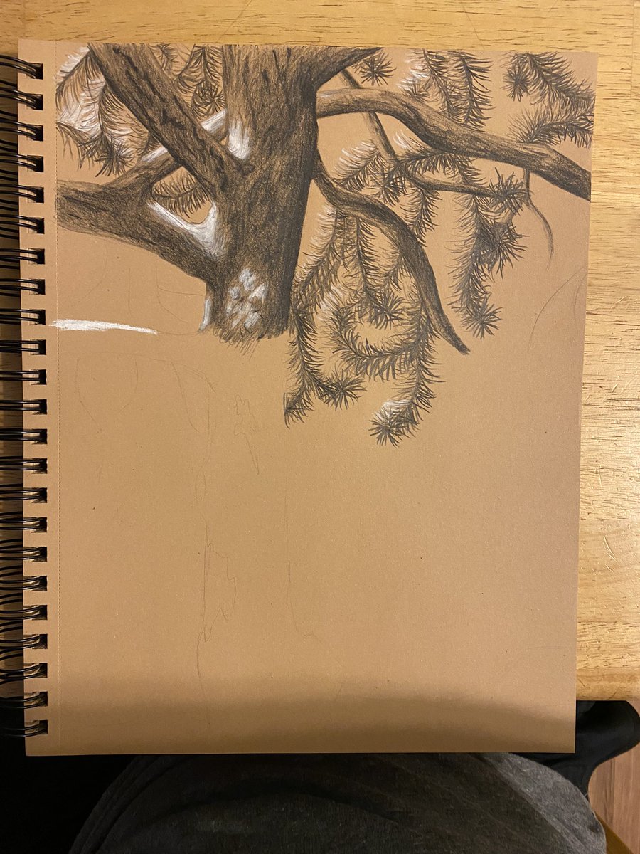 BowerTendo's tweet photo. Current WIP #graphitepencils #compressedcharcoal https://t.co/Lyso0nQEHu
