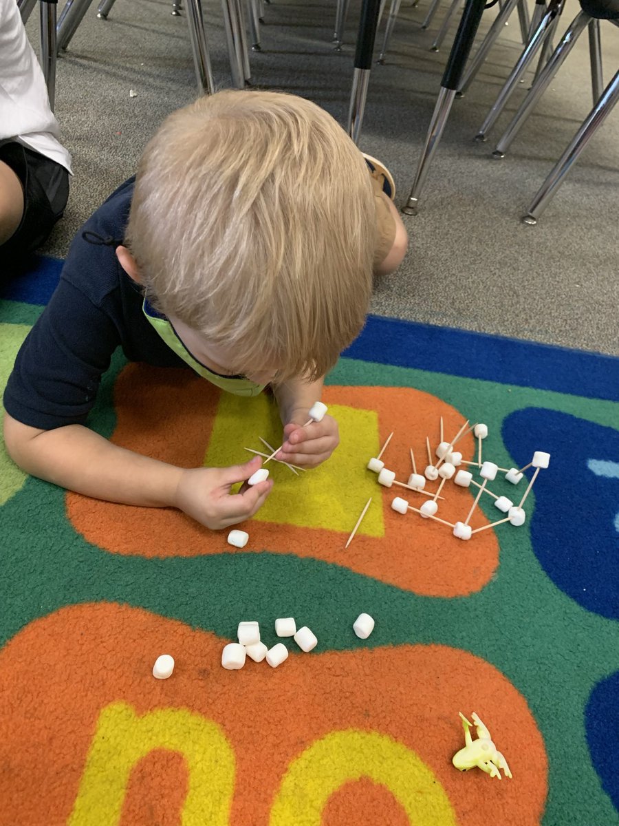 Ashley Tomlin tweet media