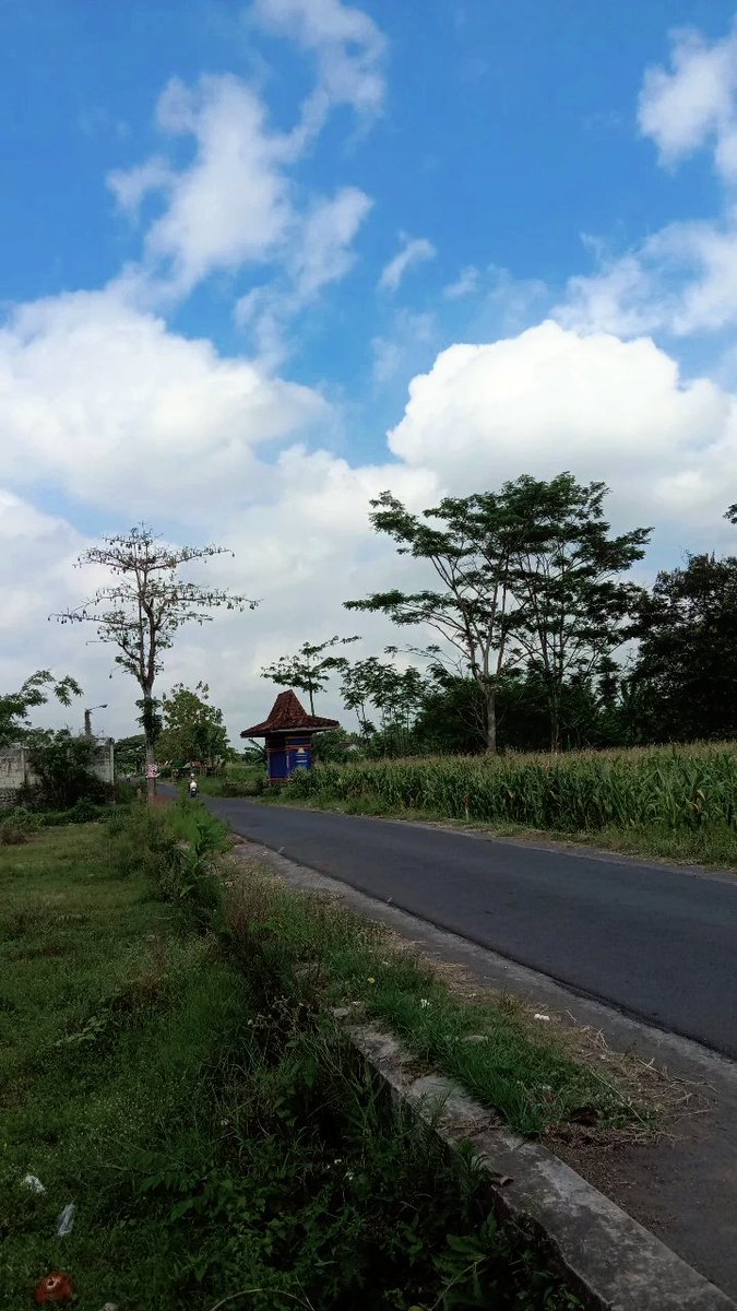 laadhh's tweet photo. Memang jogja tidak pernah mengecewakan!🌻🍃❤️ https://t.co/CxRiE8Sh1d