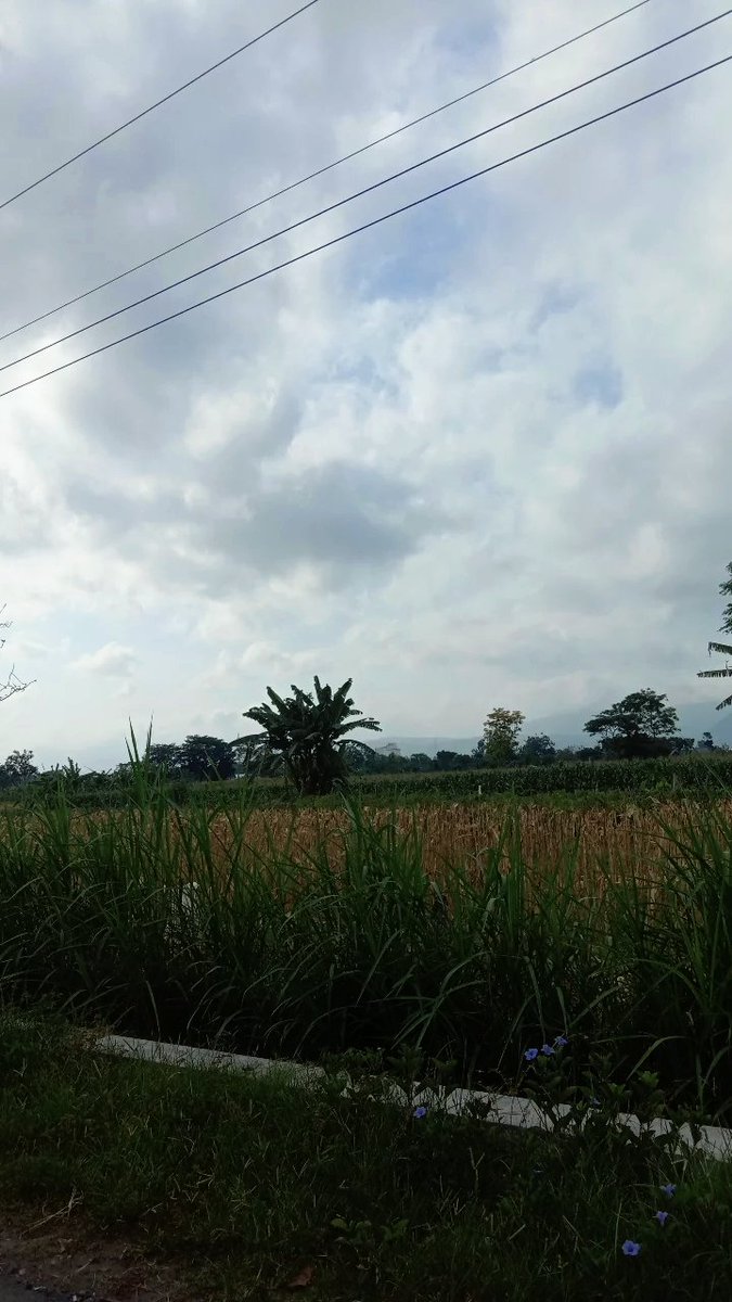 laadhh's tweet photo. Memang jogja tidak pernah mengecewakan!🌻🍃❤️ https://t.co/CxRiE8Sh1d