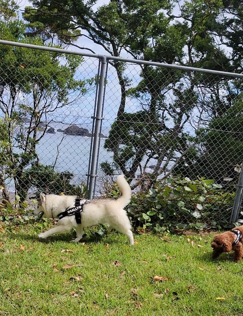 南阿波サンラインモビレージ 39kenken Twitter