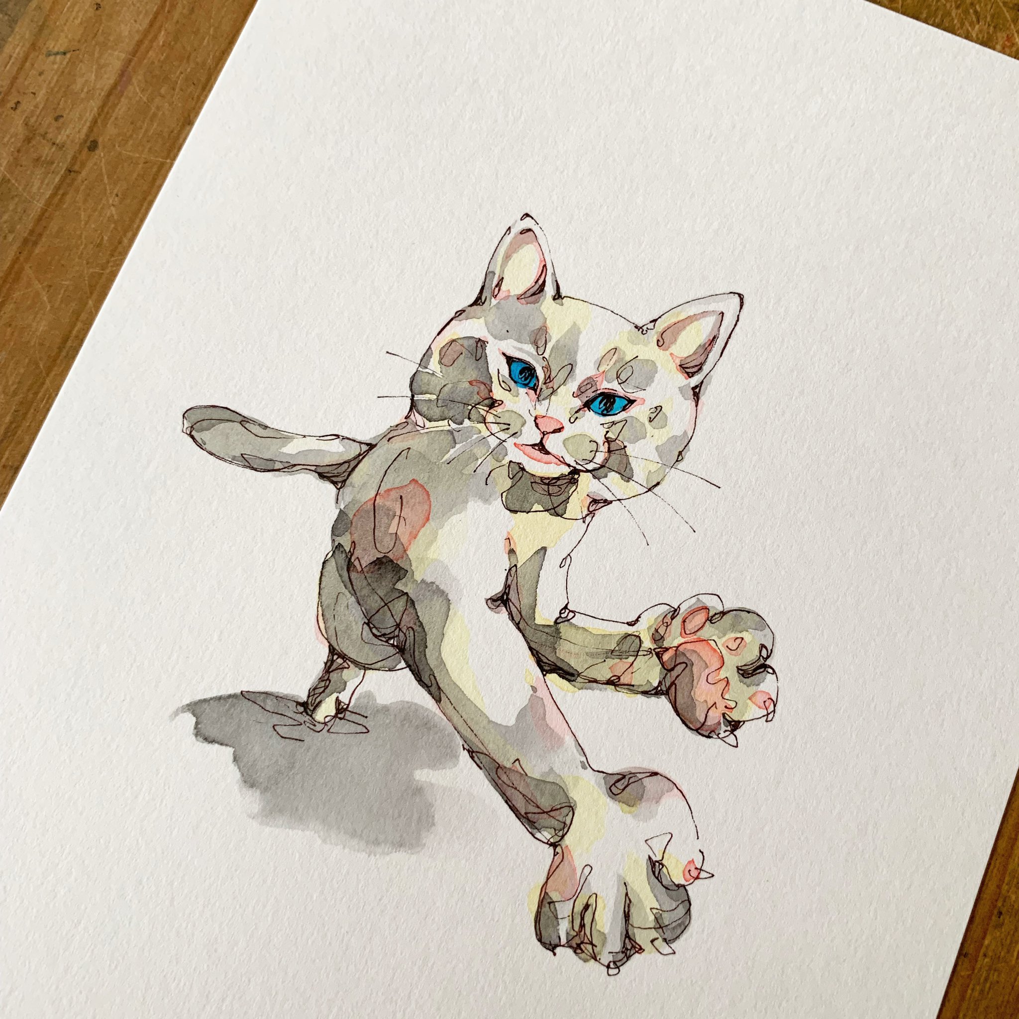 ふく 猫パンチ 猫 ねこ ネコ Cat 猫パンチ カラーインク ボールペン 墨 墨絵 Art Drawing Illustration イラスト アート 水彩 ニャンフェス T Co Qvazsgfitf Twitter
