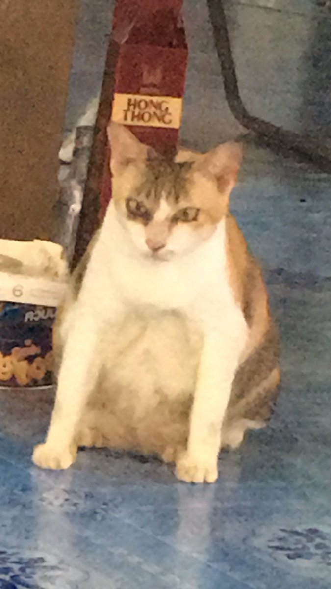 โอ่งมังกร