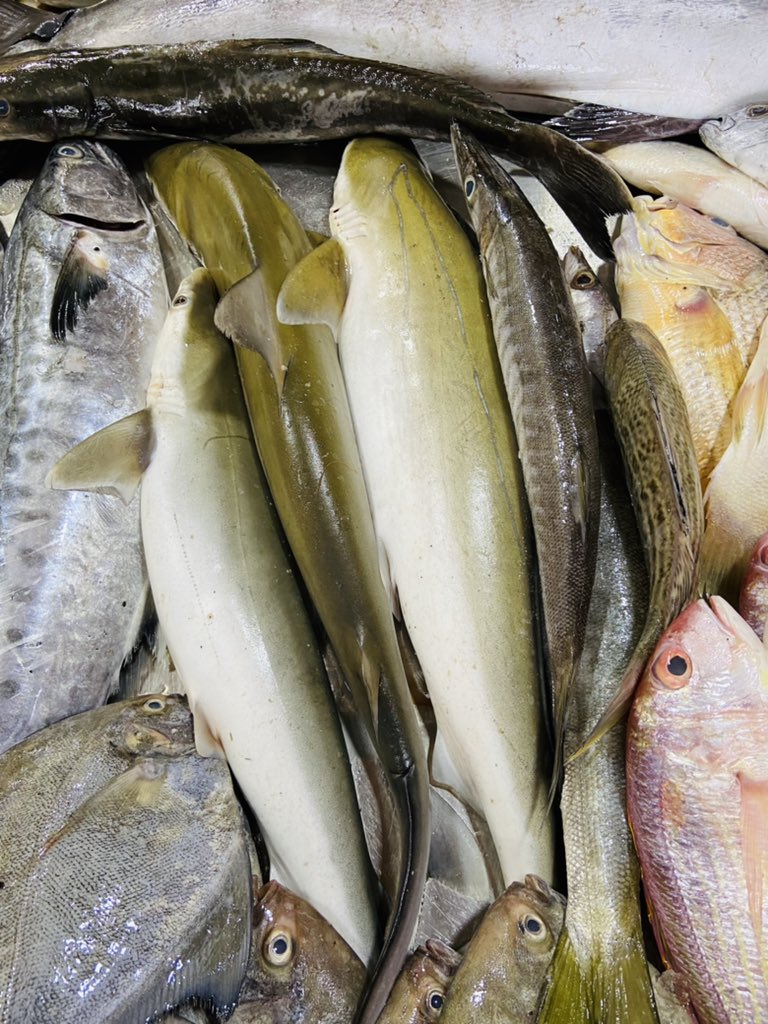 StoreIfish's tweet photo. Full display #seafood @StoreIfish https://t.co/fK6RKh4Zdu