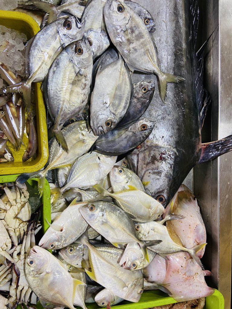 StoreIfish's tweet photo. #seerfish #Nethilli #paarai fishes now available @StoreIfish https://t.co/VyLsepGedP