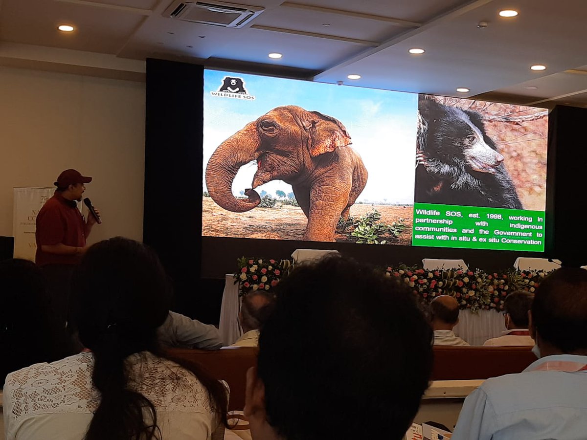 CZA_Delhi's tweet photo. #zooconference
Day 1 - Session 2
Capacity Building in zoos - Vision for capacity building related to outreach, veterinary medicine for personnel working in zoos. https://t.co/WvzfhlEg6f