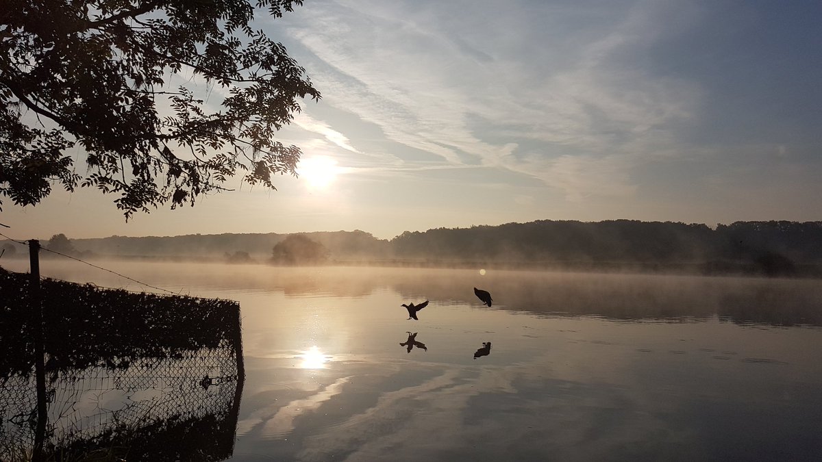 Wilma Kwakkel (@wilmabredewout) on Twitter photo 