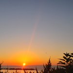 ツイートに含まれる画像