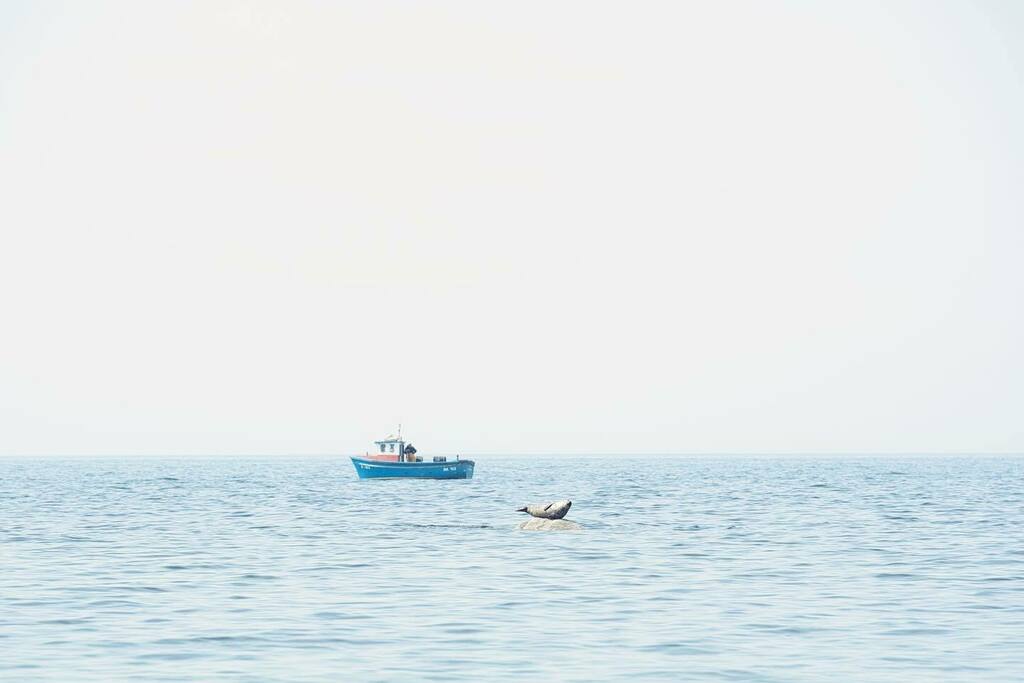 Chunky little seal 🦭 chillin on a rock. 

.⁣
.⁣
.⁣
.⁣
.⁣
#boat #boatday #boating #boatinglife #boatlife #boatlifestyle #boatlovers #boatride #boats #boatshow #boatsofinstagram #boattour #boattrip #fish #fishing #harbor #landscapephotography #naturelovers #ocean #river …