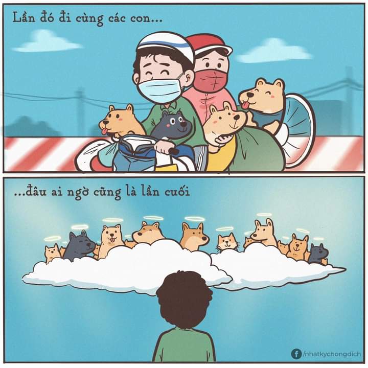 Halcyon20s's tweet photo. They had to die in torture and pain.
The case of 15 dogs and 1 cat being beaten and burned in Ca Mau province when their owners were positive for Corona virus.
Cre: fb /nhatkychongdich/
#standfor16 #AnimalAbuse #PrayforVietnamAnimals https://t.co/HGc8YapZGo