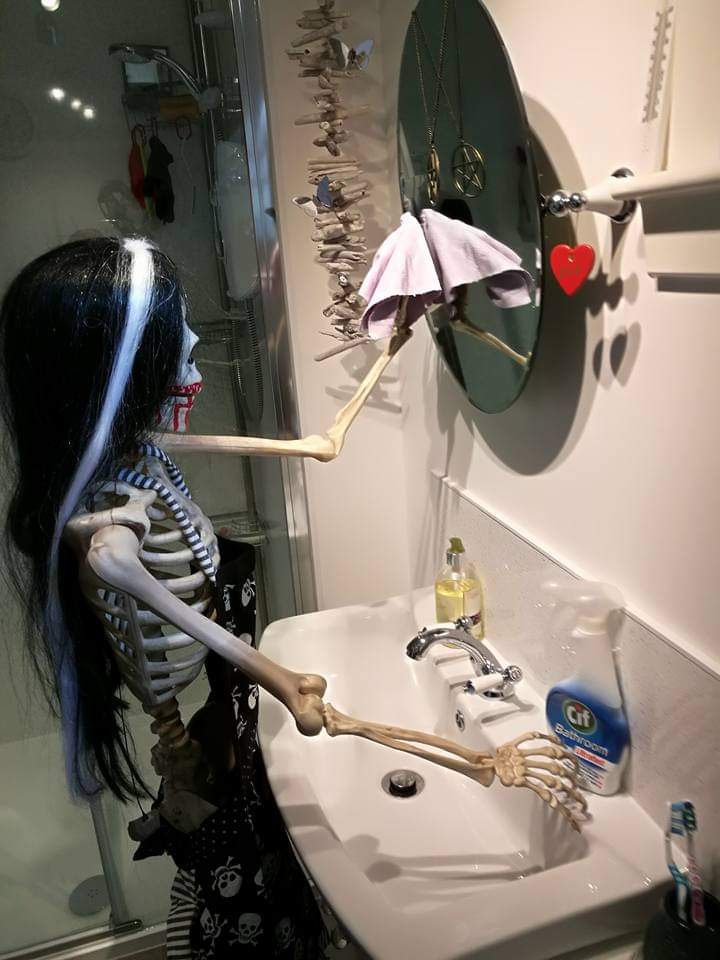 TracyLeeCook1's tweet photo. Getting help cleaning the bathrooms. ππβ€π§ββοΈ #skeleton #mrsbones #Halloween #magik #darkarts #castlecook #interiordesign #bathroomdecor https://t.co/W3SQXTOQOm