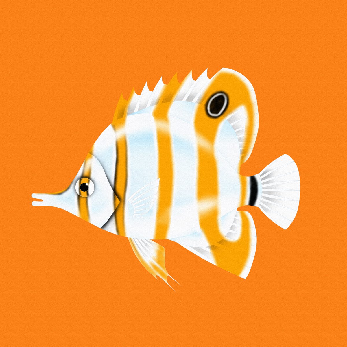 とみいち おはようございます ハシナガチョウチョウウオです つづく 一日一絵 Illustration Clipstudiopaint