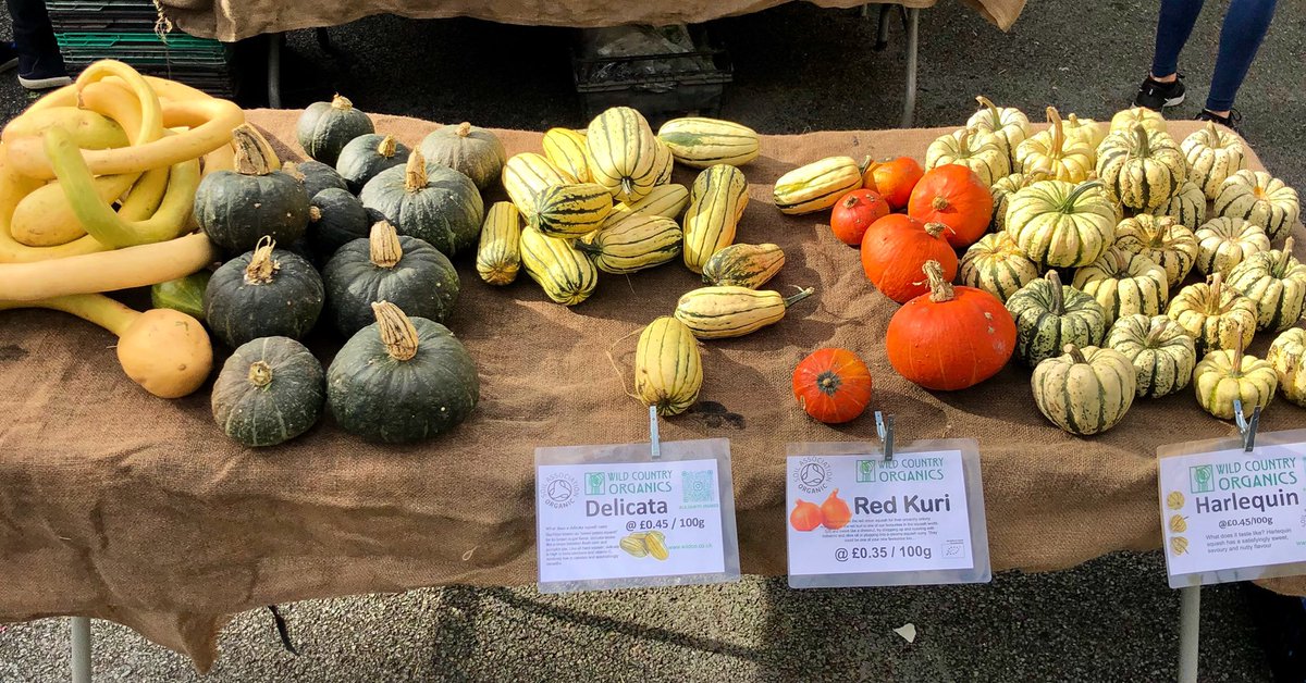 The squash table is filling up at Wild Country Organic! 

🕠 10-2 today, see you there 🙌
