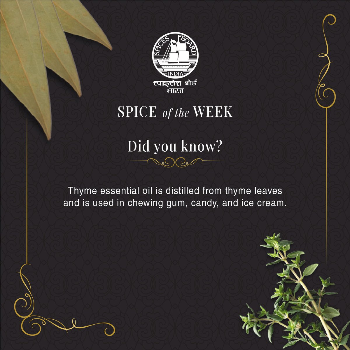 Spices_Board's tweet photo. In several studies, thyme essential oil has been shown to reduce or eliminate foodborne bacteria, support heart health, and reduce inflammation in the body, among other benefits.
@DoC_GoI
#spiceoftheweek #spicesandherbs #spicesofindia #spices #indianspices https://t.co/1eLVheepec