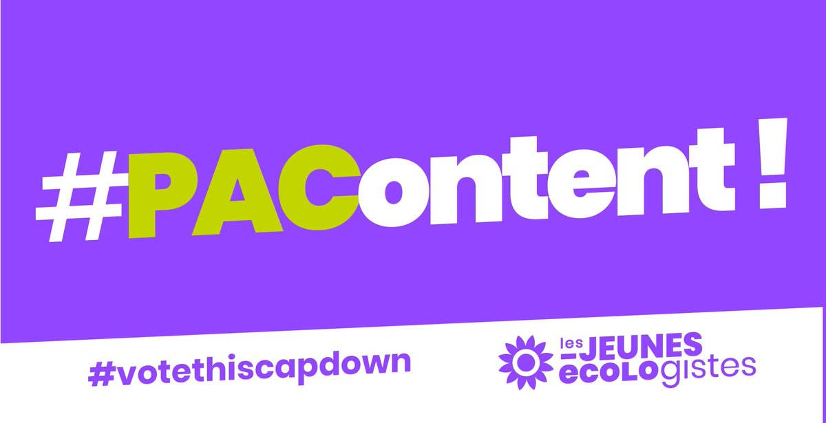 LeloupLucas's tweet photo. #VoteThisCAPdown #PAContent https://t.co/xxD34nO8aw