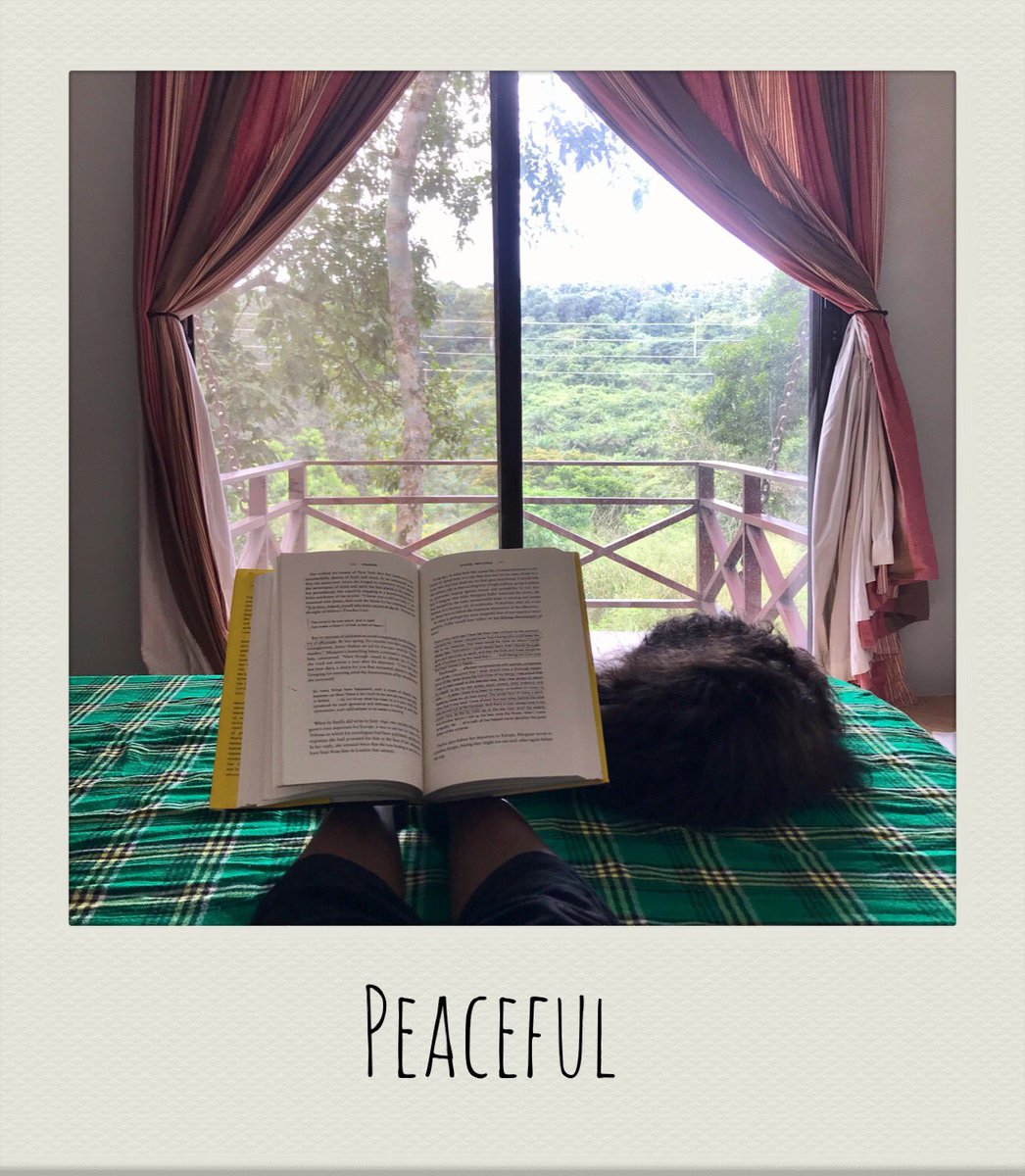 A state of quiet and calm 🔆

#travelingfriends #travelghana #traveltribegh