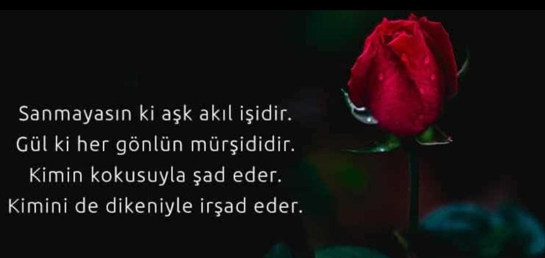 Muhammed Sâqî Elhuseyni (@hasemierol) on Twitter photo 