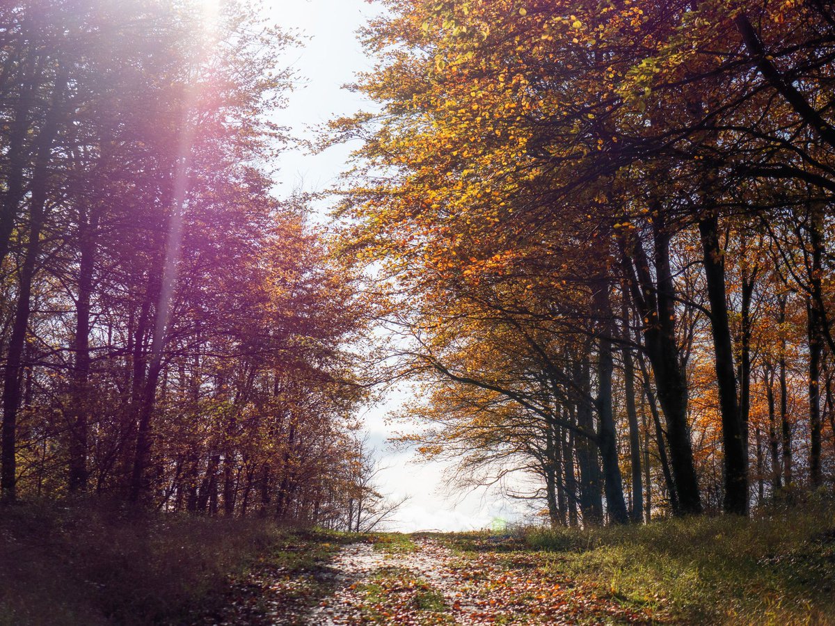 It's OK to not be OK all the time.
⠀
It's OK to talk, vent and share.
⠀
It's OK to ask for help.
⠀
It's OK if you take medication.
⠀
It's OK if you use mindfulness.
⠀
It's OK if you don't want to go outside.
⠀
What matters is that you're still here.

#WorldMentalHealthDay