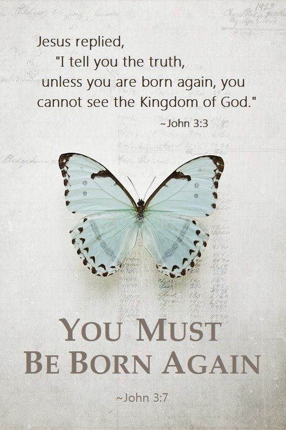 everydayblessed (@everydayblesse2) on Twitter photo 