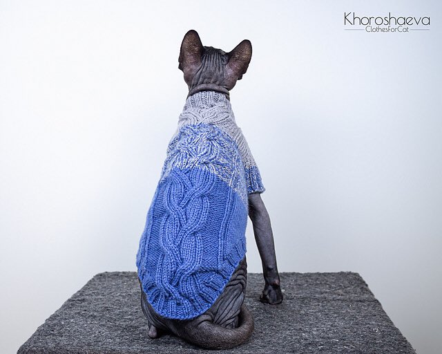 ClothesForCat's tweet photo. Warm sweater for cat
by Irina Khoroshaeva
#catsweater #clothesforcat #ravelrypattern #knittingpattern #handmade #gm #cat #sphynx #catjumper #aransweaterforcat #sweaterfordog #sweaterforsphynxpattern #catsweaterpattern
https://t.co/7QIfEqcwxP https://t.co/hcmilbSfqY