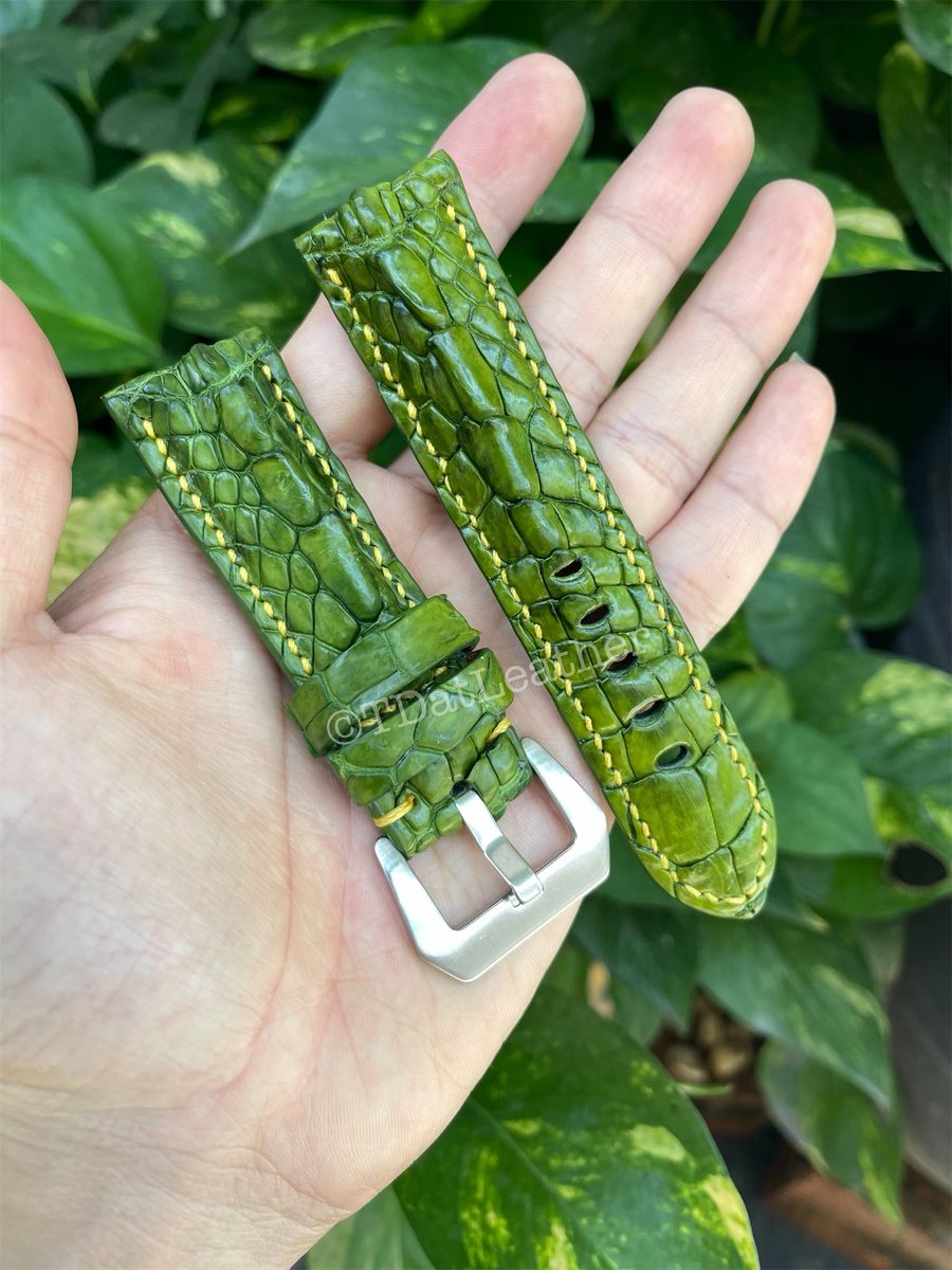 datstraps's tweet image. Green Hornback crocodile strap #crocodile #Strap
