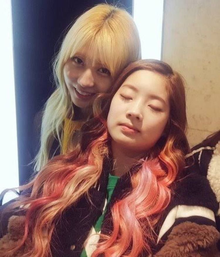 dailydahmo's tweet photo. look at them 🥺 https://t.co/NemqOU2Cqk
