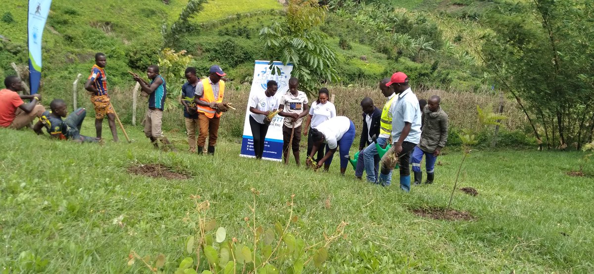 MatayoJonah's tweet photo. NWSC@Lwakhakha branch partnered with the community on independence day in planting bamboo trees a long river Lwakhakha in a NWSC go green campaign. 
Present was the lord mayor Mr. Kisongotsi Muhammad, hon speaker and his councillors.
Thanks NWSC to top management for the support https://t.co/UyfIyXbgzU