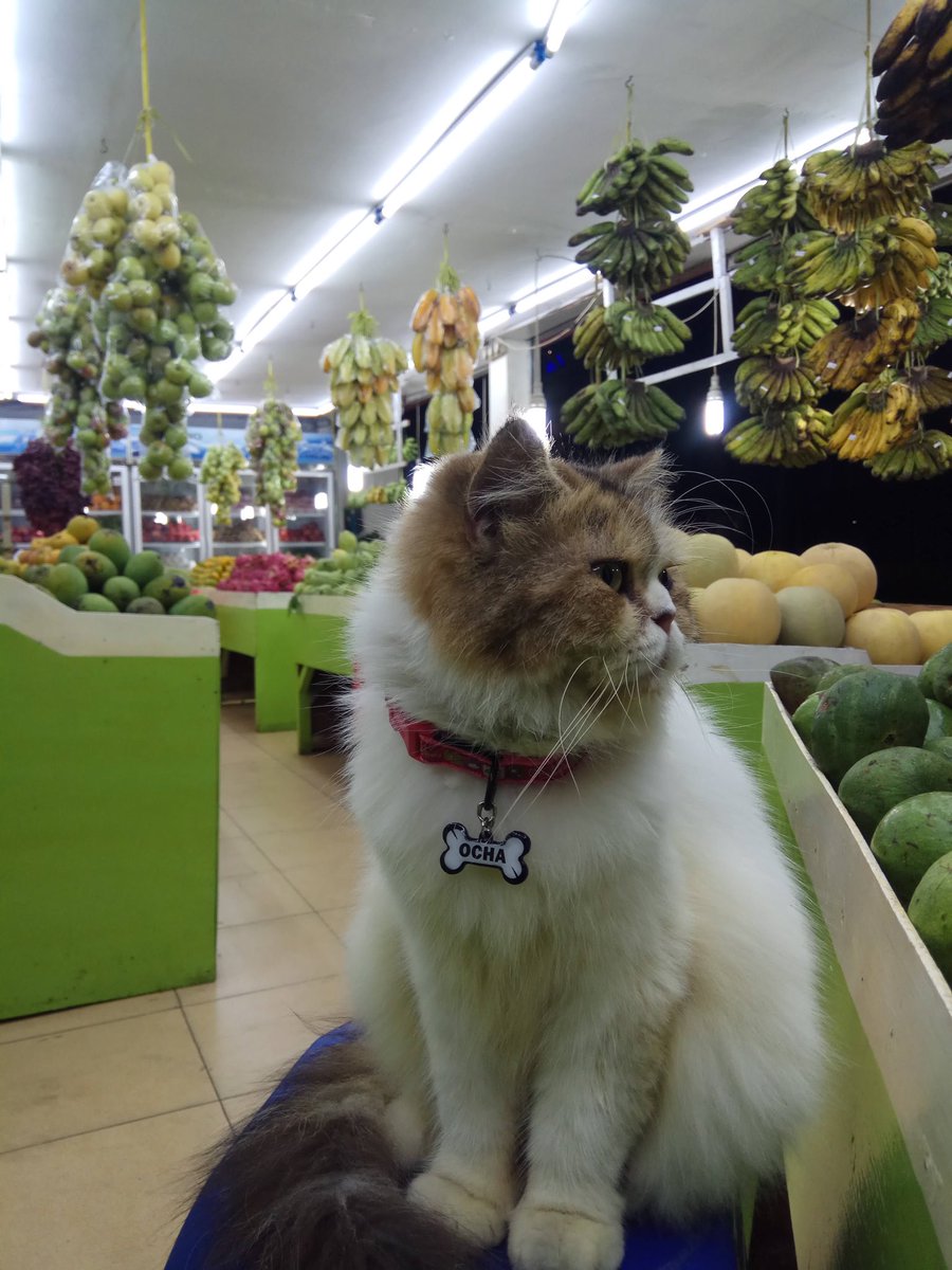 Ajakin aku malming bang biar bisa uwu kek yg laen